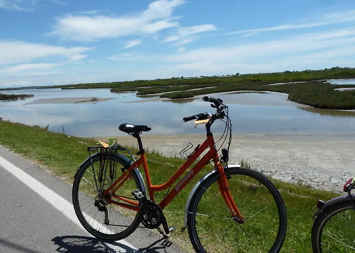 Orient & Pacific 4* לידו די ג'סולו